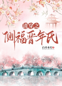 清穿之侧福晋也威武