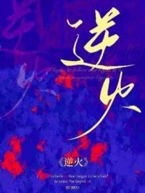 逆火苍穹之将夜后传