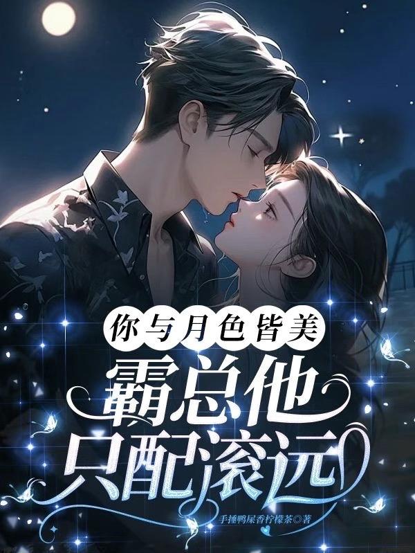 你与月光皆过客 小说