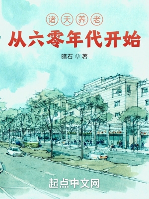 诸天养老从火红年代开始暗石 著