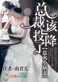 惹火小萌妃高冷邪皇请淡定免费阅读