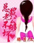 总裁老公不离婚绿豆糕