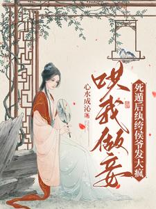 沈大人小说