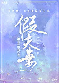 假夫妻摘星星给我小说