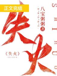 失火的天堂 电视剧