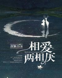 相爱两相厌完结版