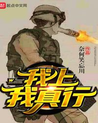 我上门女婿小说