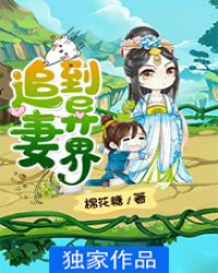 追妻火葬场霸总甜宠文
