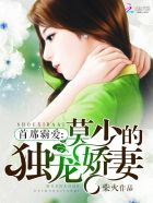 首席霸爱娇妻太迷人