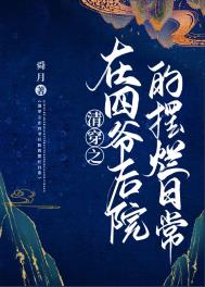 最好看的清穿四爷后院的小说