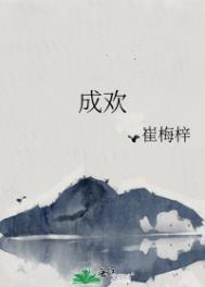 成欢文化传媒
