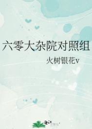 六零大杂院鸡飞狗跳