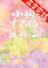 小狗被雨淋湿怎么办